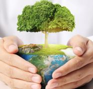 Экология и охрана окружающей среды